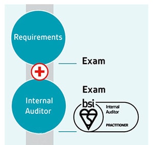 Internal auditor pathway